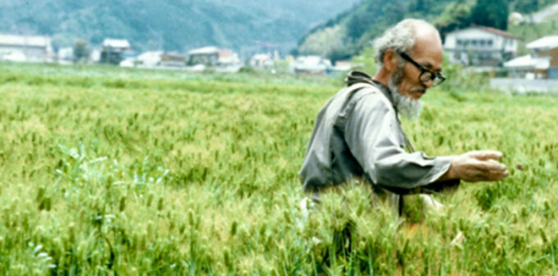 masanobu fukuoka natural farming one straw revolution profound