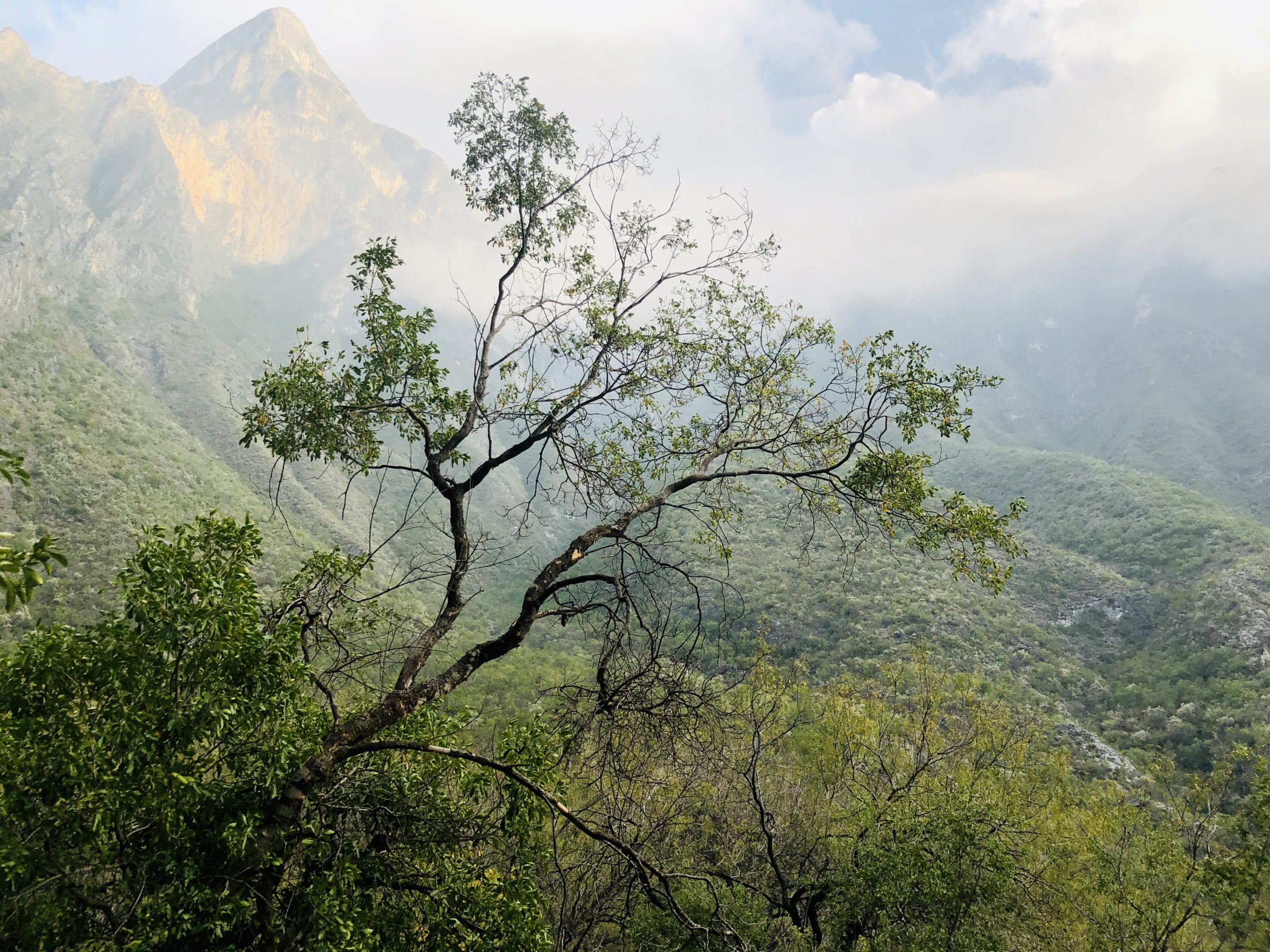 View From the center of the universe, Guitarritas Canyon, La Huasteca