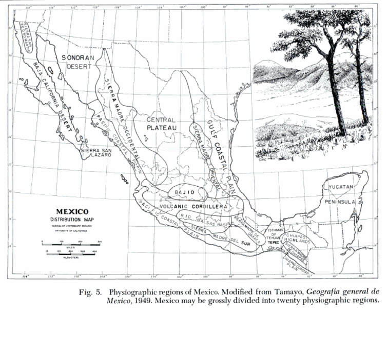 Physiographic regions of Mexico map
