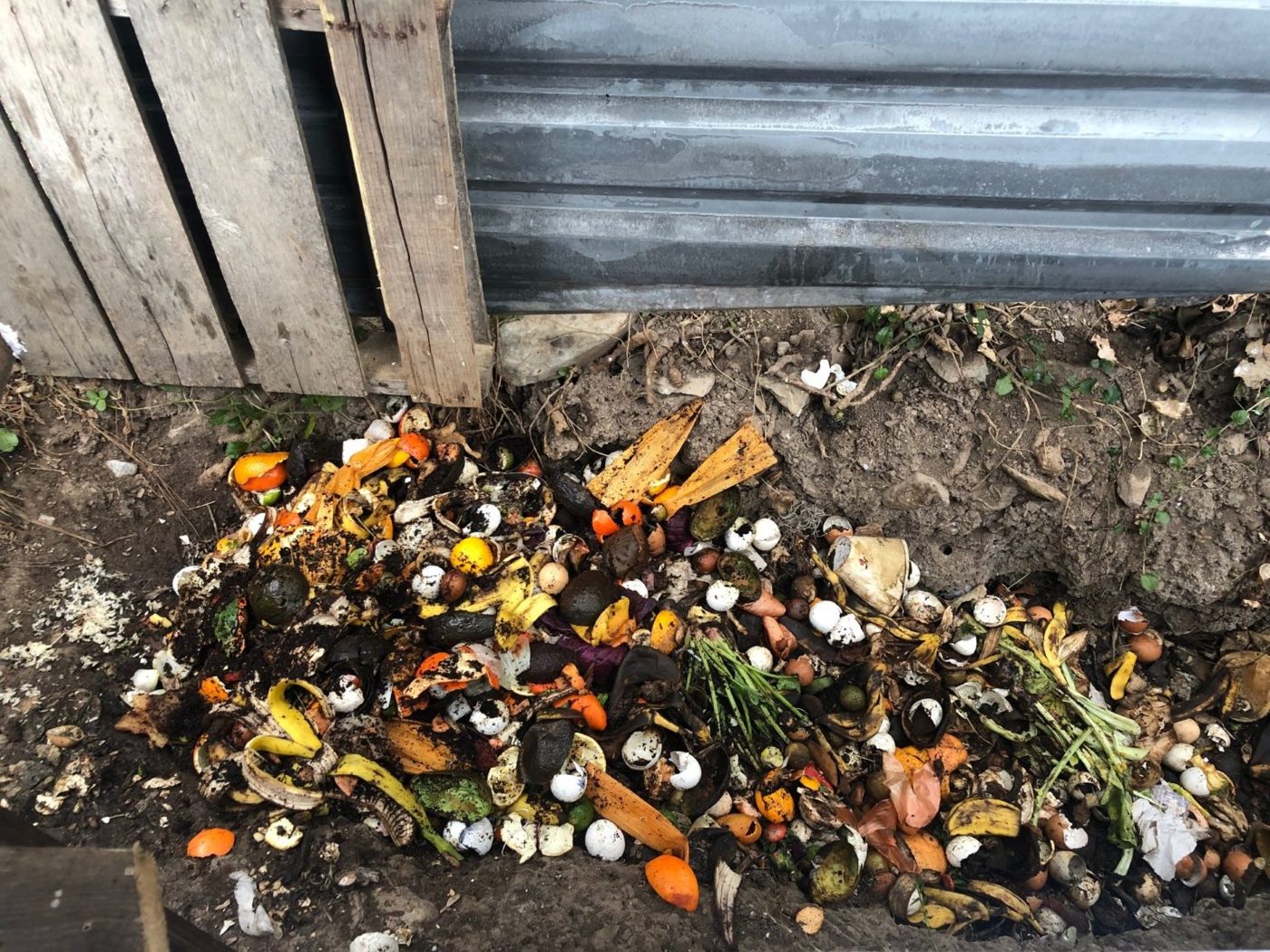 RockCamp El Salto compost and organic waste collection